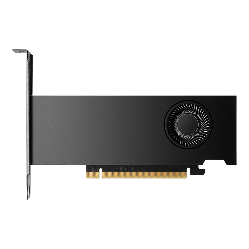 PNY NVIDIA RTX 2000 Ada Generation Graphics Card